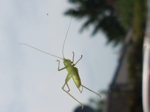 20160903_161458
